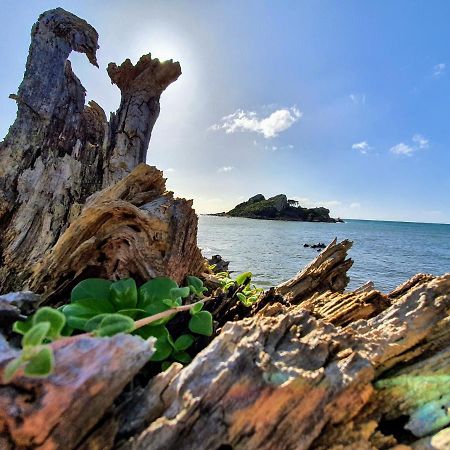 Goat Island Bungalow Ulverstone Zewnętrze zdjęcie