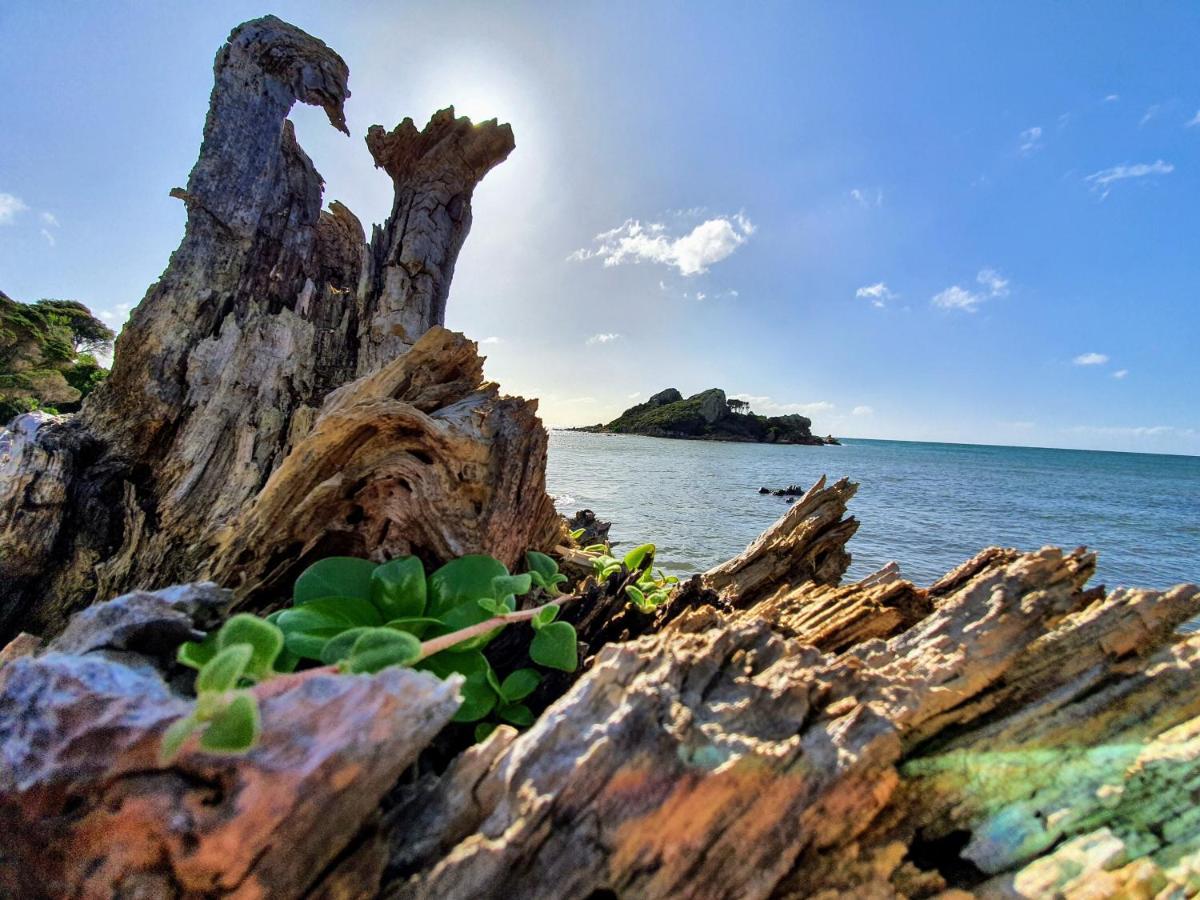 Goat Island Bungalow Ulverstone Zewnętrze zdjęcie