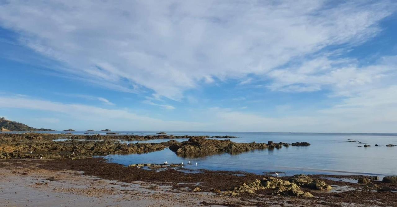 Goat Island Bungalow Ulverstone Zewnętrze zdjęcie